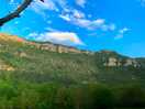 View from our plot