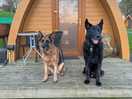 Purdi and kaiser enjoying their stay also.