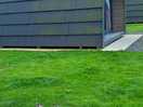 Dog friendly