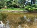 The secret river ~ can be found at the far end of the site to the left. ideal for kayaks etc