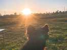 No obstructions to sunset/rise