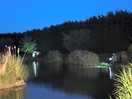 More anglers around the lake at night
