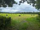 Local farm