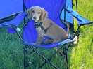 Oakley’s first camping trip!
