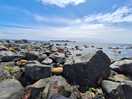 Newlyn