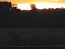 Beautiful sunset ♥