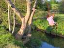 Rope swim across river