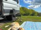 Dog friendly too.