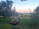 Fire pit and grill available to hire!