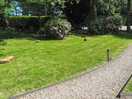 Grass area