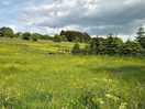View from site