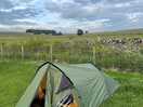 Home for the night next to a field of lamas