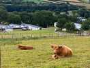 Our neighbours!