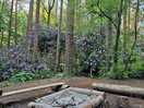 Firepit view
