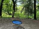 Tree swing