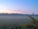 Mist in the field