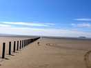 Dog friendly beach walking distance from site