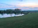 Early morning dog walk