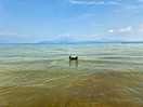 Lago di garda....and sam