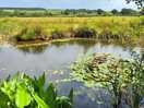 Fishing lake