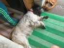 Knackered!