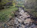 Stream
