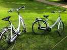 Bikes for hire