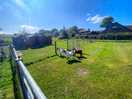 Goats are so friendly came to visit us in morning even let my son pet him