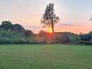 Beautiful evening onsite