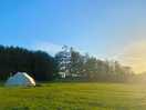 The wild camping field