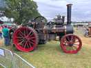 New forest & hampshire county show