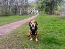 Old boy keeping up