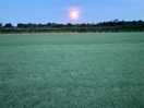 Moon rising
