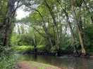 The river yonne that skirts the site, with well maintained paths for guests to follow