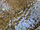 Lovely clear river