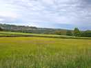 Next fields
