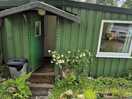 Forester cabin