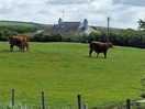 Neighbours