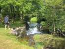 Stream on the campsite