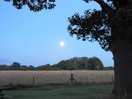Clear evening sky