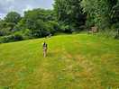 Sloped dog park. dogs enjoyed it.