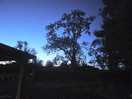 Nice night time captured
