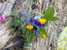 Lots of lovely little details dotted around :)