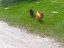 Friendly
