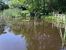 Another view of the pond