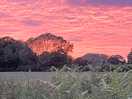 Evening sky