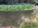 Fishing lake