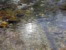 Beautiful river