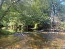 Beautiful river that runs through the site