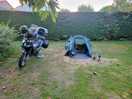 Good sized pitche